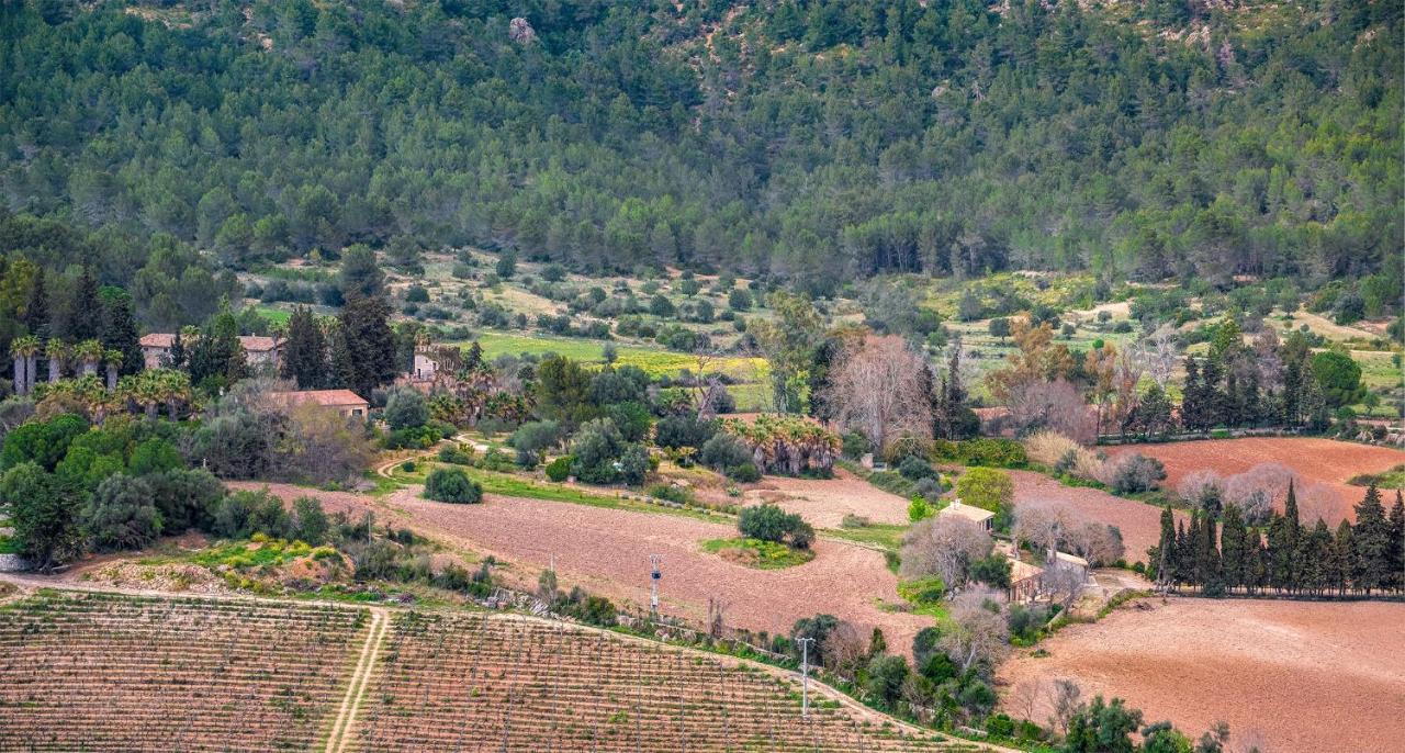 Séjour à la ferme Son Pont Puigpunyent (Mallorca)